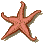 punto5.gif (526 byte)